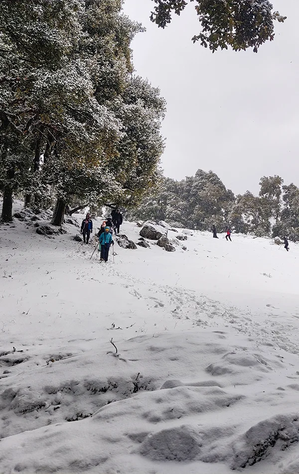 Nag Tibba Weekend Trek